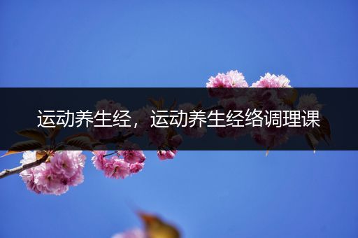 运动养生经，运动养生经络调理课