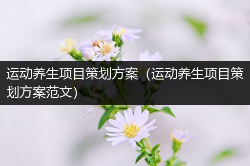 运动养生项目策划方案（运动养生项目策划方案范文）