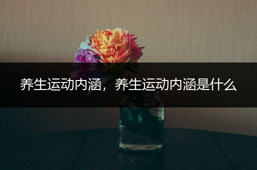 养生运动内涵，养生运动内涵是什么