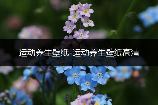 运动养生壁纸-运动养生壁纸高清