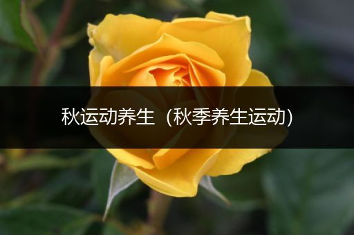 秋运动养生（秋季养生运动）