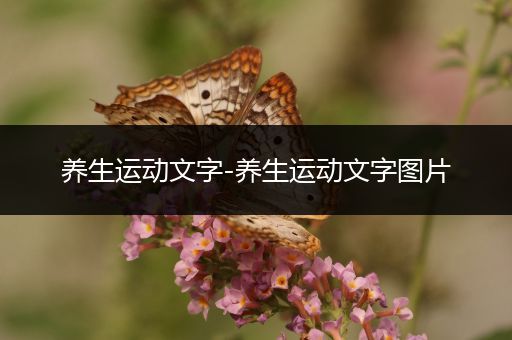 养生运动文字-养生运动文字图片