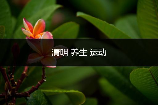 清明 养生 运动