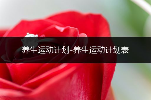 养生运动计划-养生运动计划表